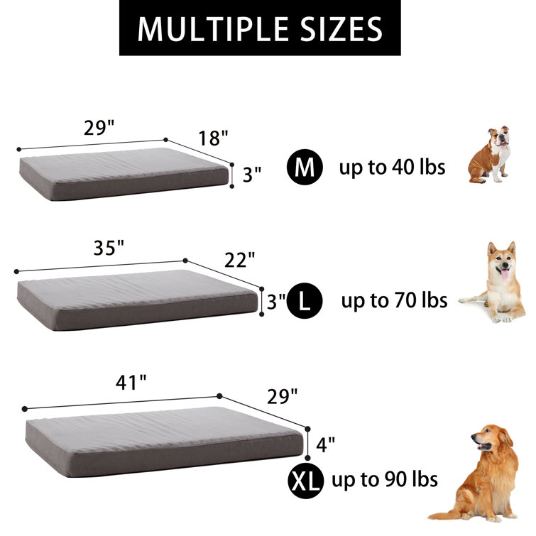 Large dog bed on sale measurements